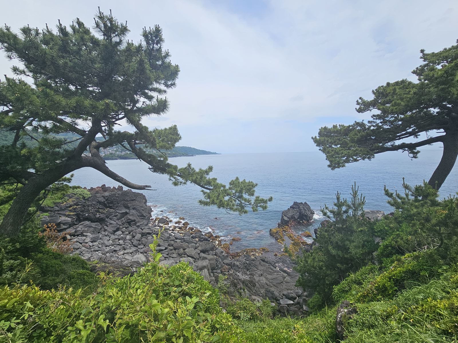 07城ヶ崎海岸02.jpg